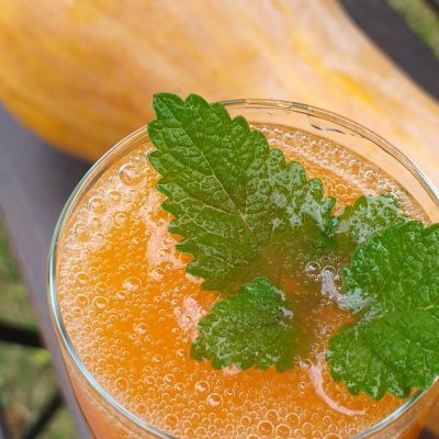 Fermentált sütőtöklé