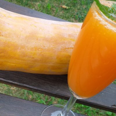 Fermentált sütőtöklé