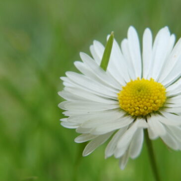 Miért lettem coach egy multinacionális értékesítői karrier után?