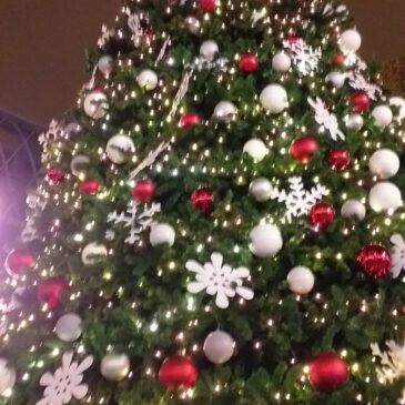 Februári karácsony…